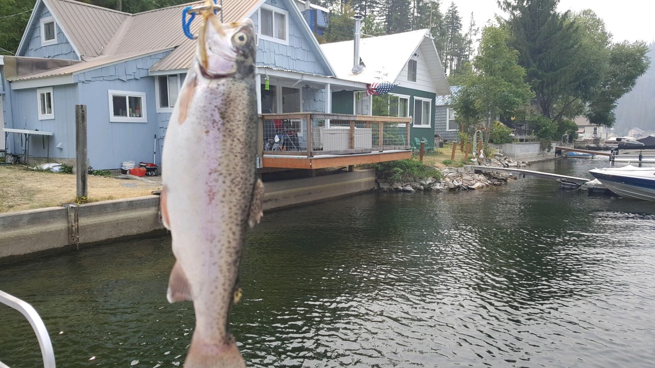 Photo of Others in Loon Lake