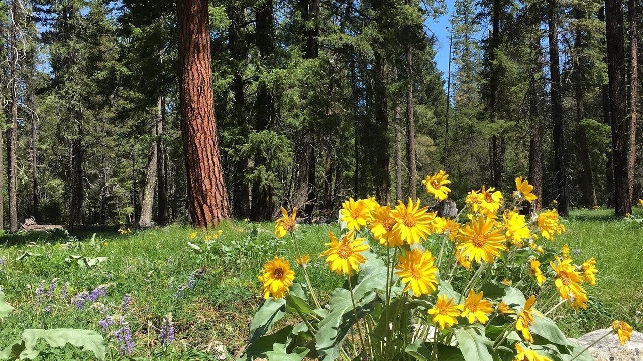 Photo of Others in Leavenworth