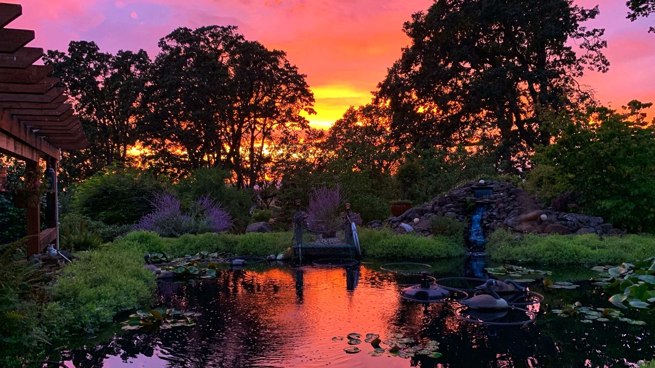 Photo of Outdoor in Amity
