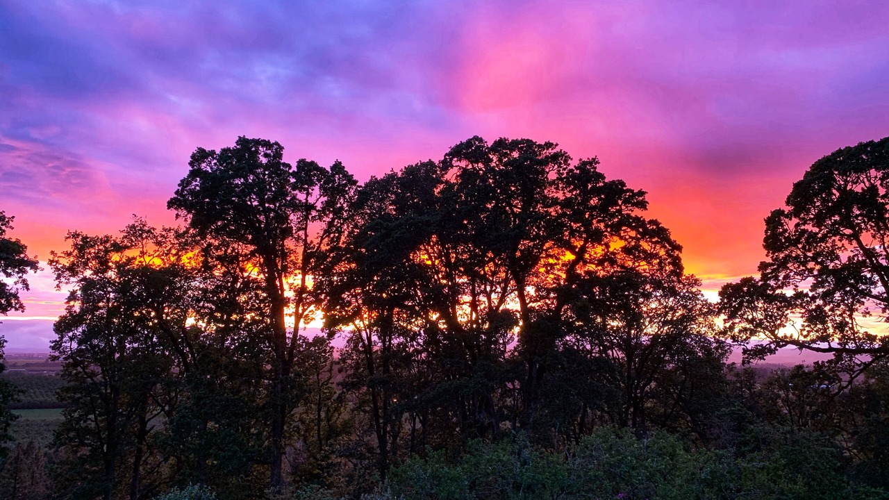 Photo of Outdoor in Amity