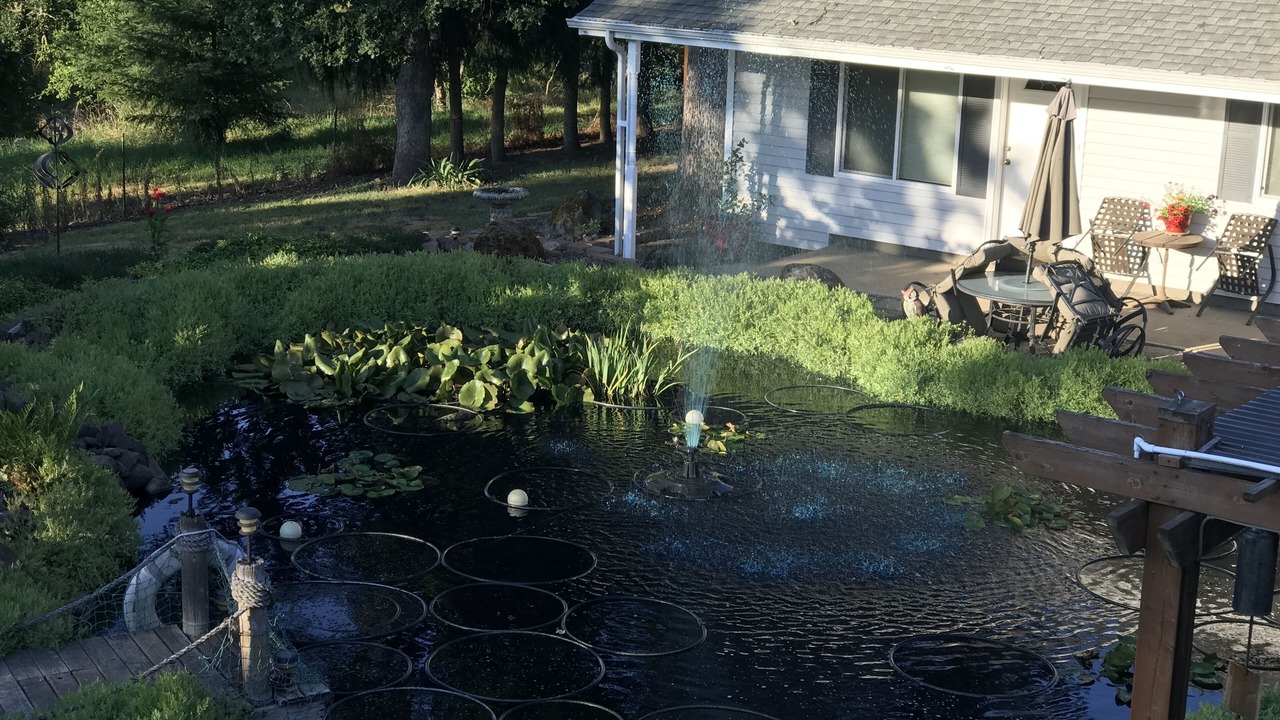 Photo of Outdoor in Amity
