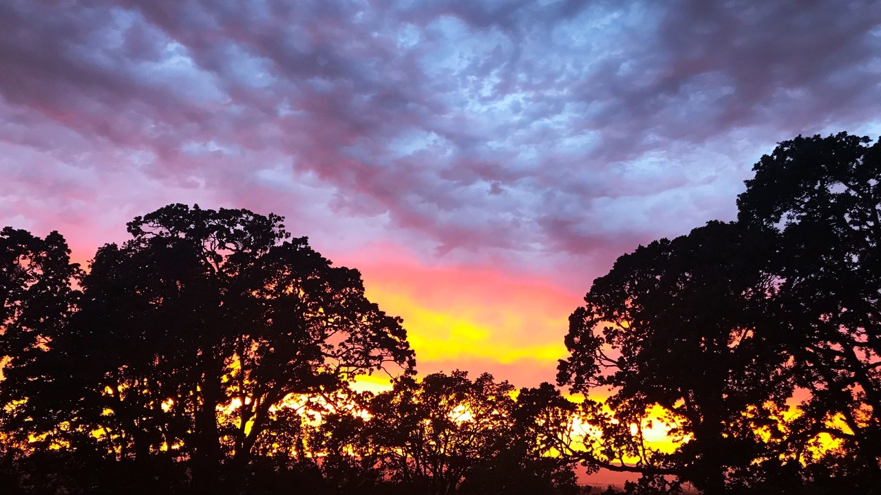 Photo of Outdoor in Amity