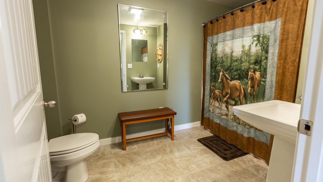 Photo of Bathroom in Steelville