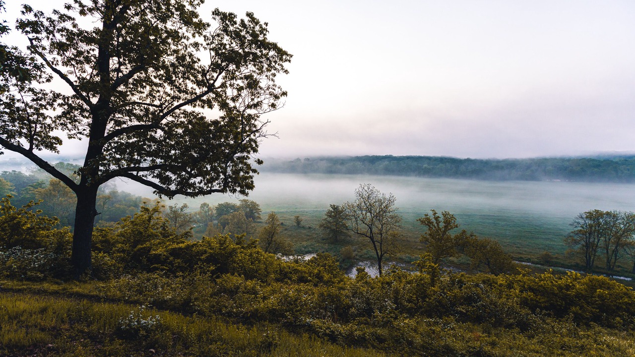 Photo of Outdoor in Steelville