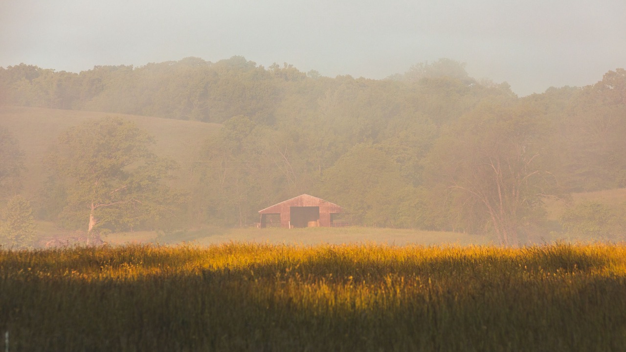 Photo of Others in Steelville