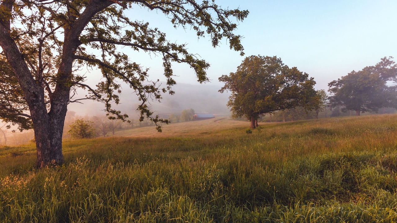 Photo of Outdoor in Steelville