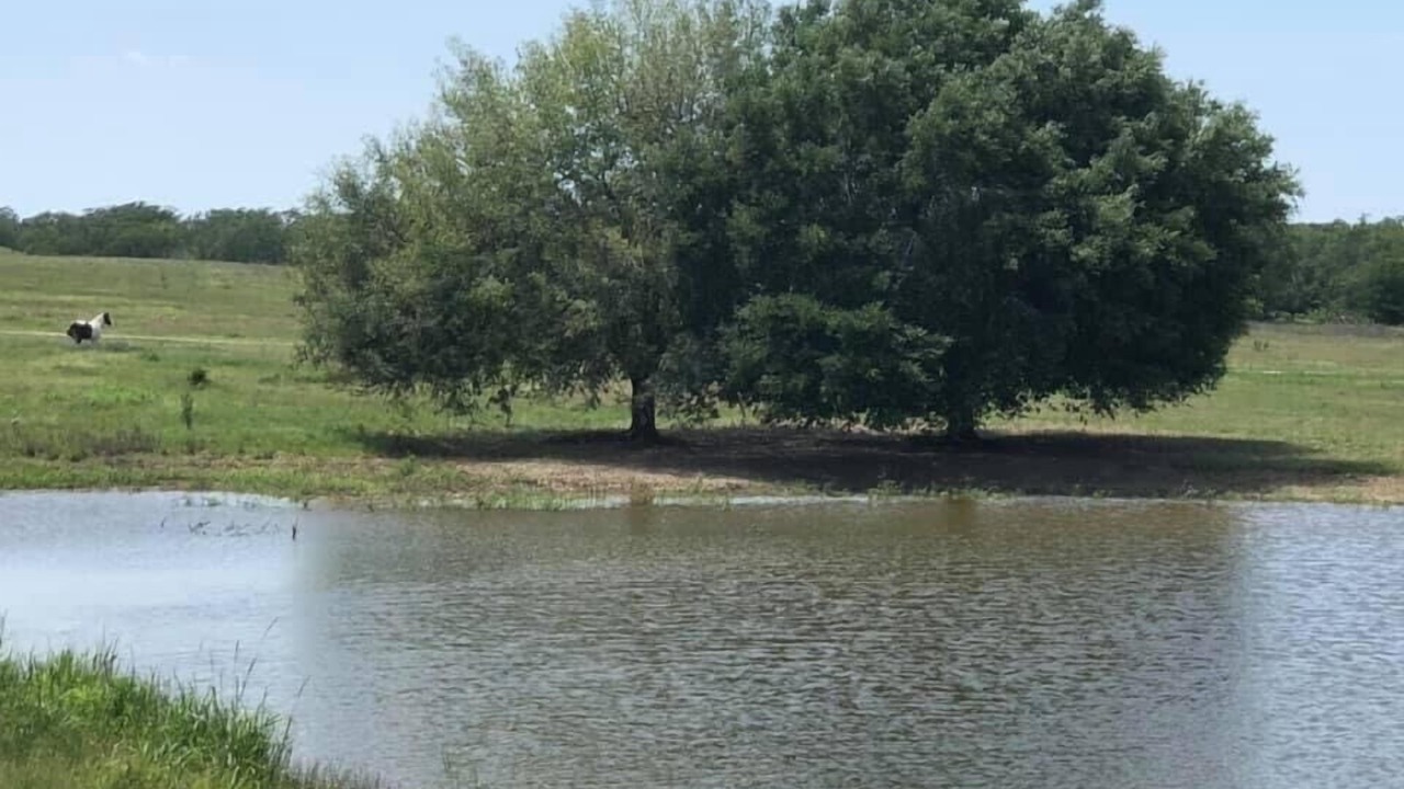 Photo of Others in Gonzales