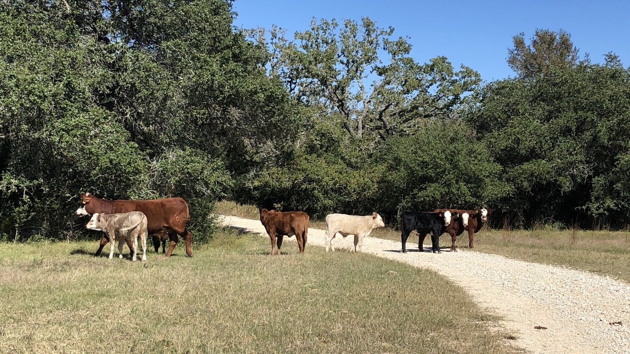 Photo of Outdoor in Gonzales