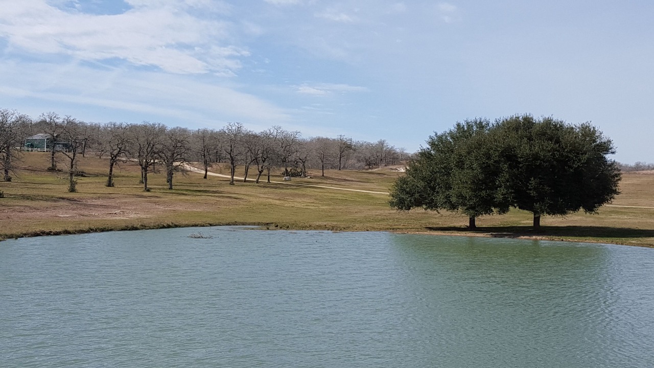 Photo of Outdoor in Gonzales