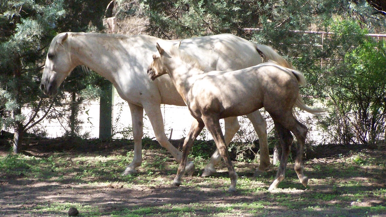 Photo of Others in Cascabel