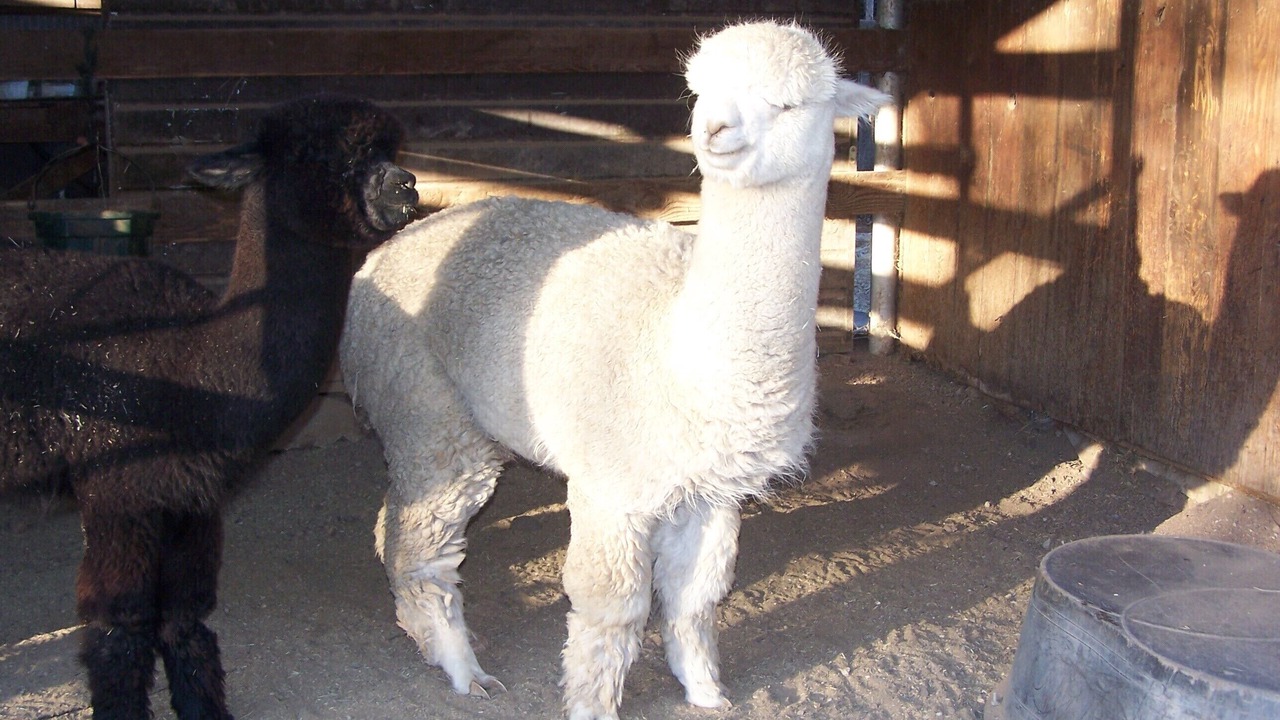 Photo of Others in Cascabel