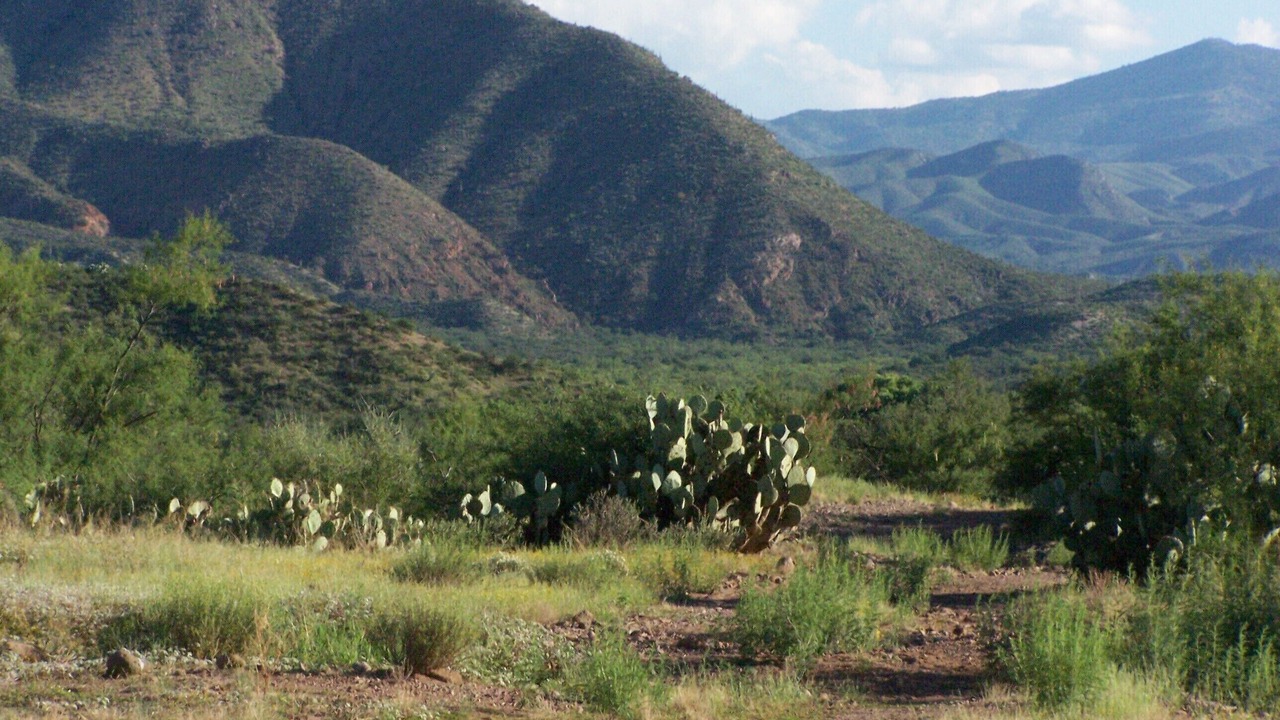 Photo of Outdoor in Cascabel