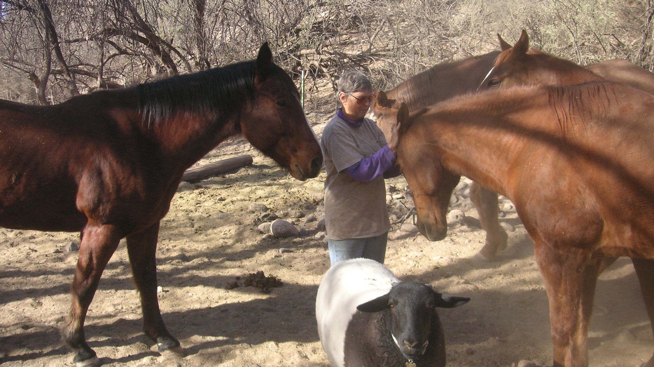Photo of Others in Cascabel