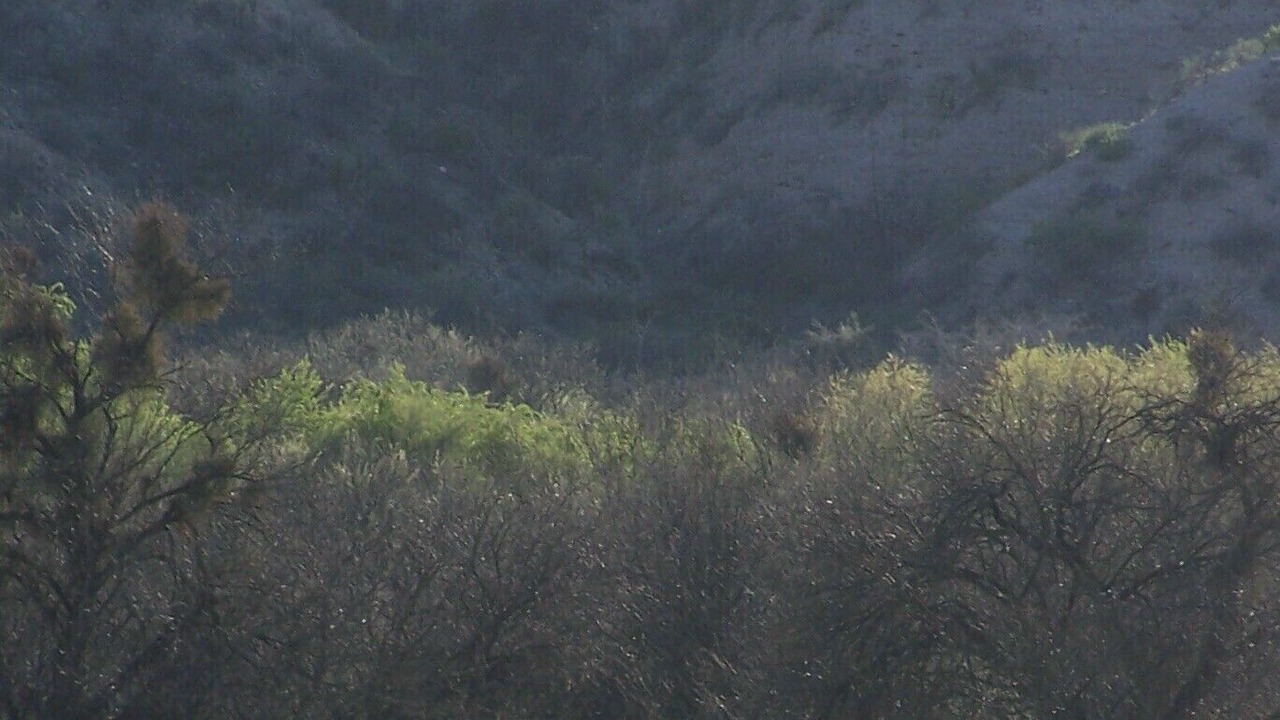 Photo of Others in Cascabel
