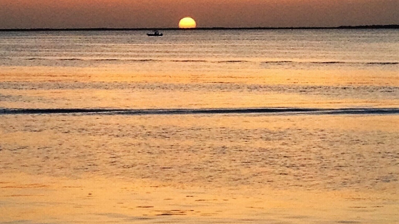 Photo of Others in Sexton Cove Estates