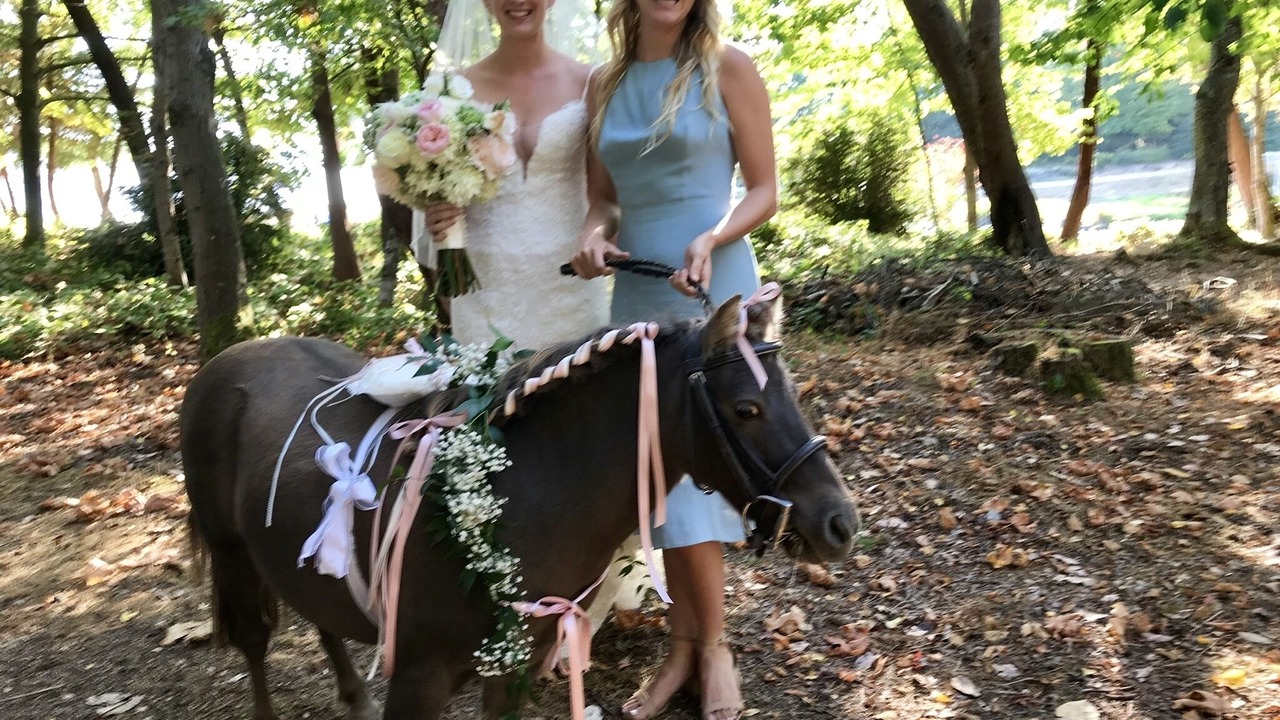 Photo of Others in Vashon Island