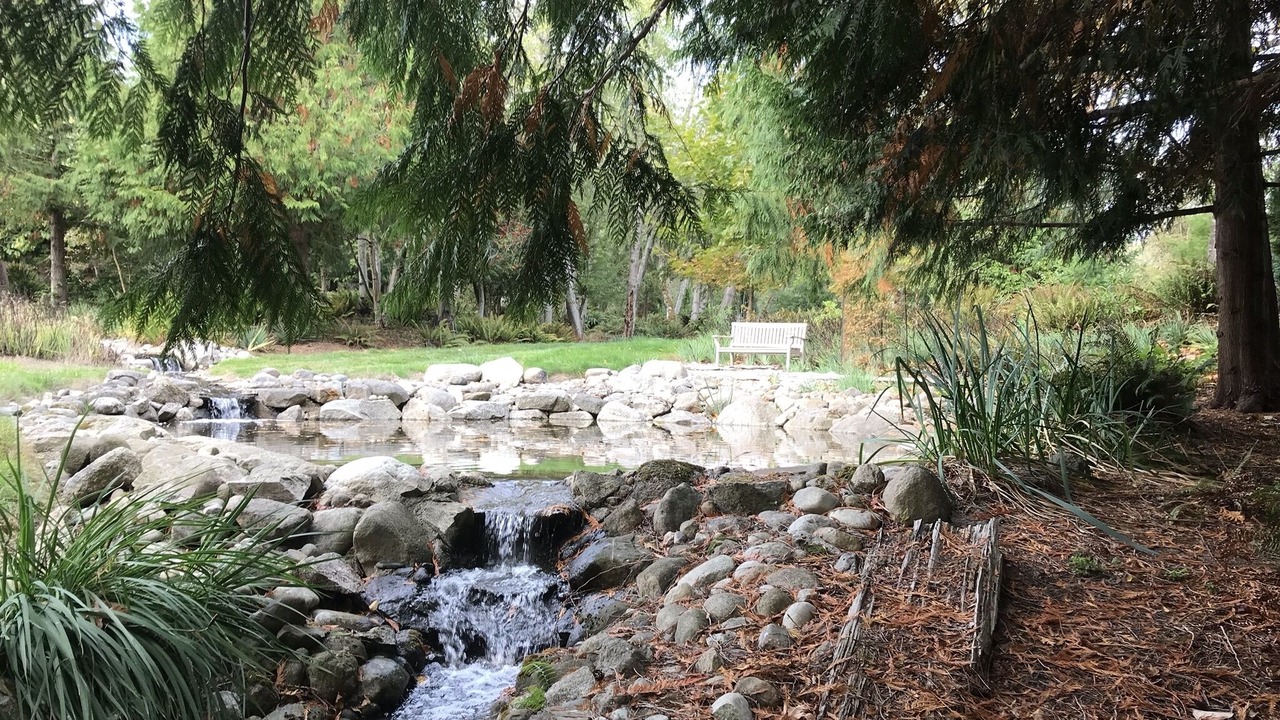 Photo of Others in Vashon Island