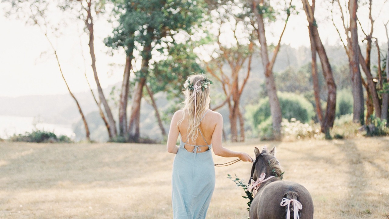 Photo of Outdoor in Vashon Island