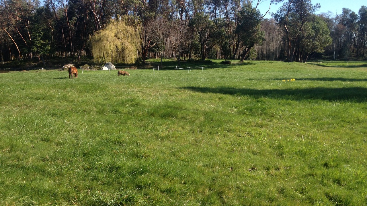 Photo of Others in Vashon Island
