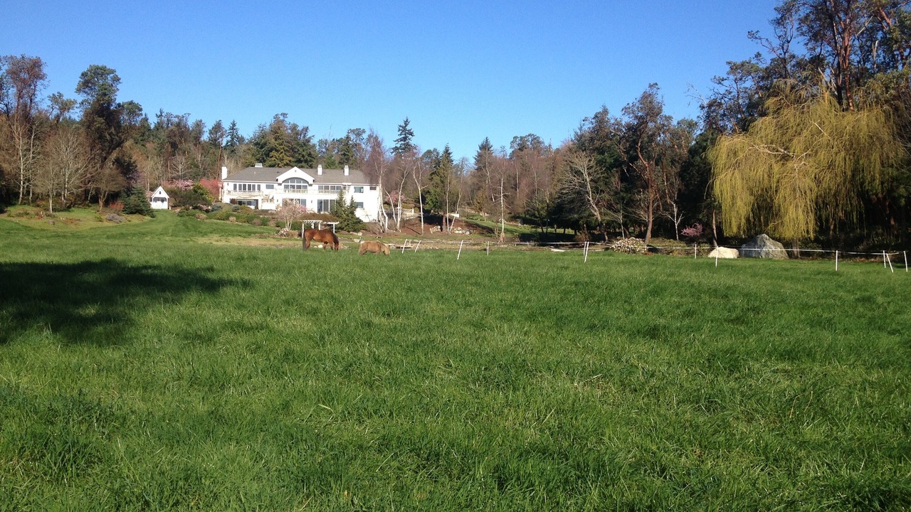 Photo of Others in Vashon Island