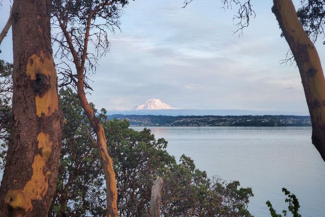 Photo of Others in Vashon Island