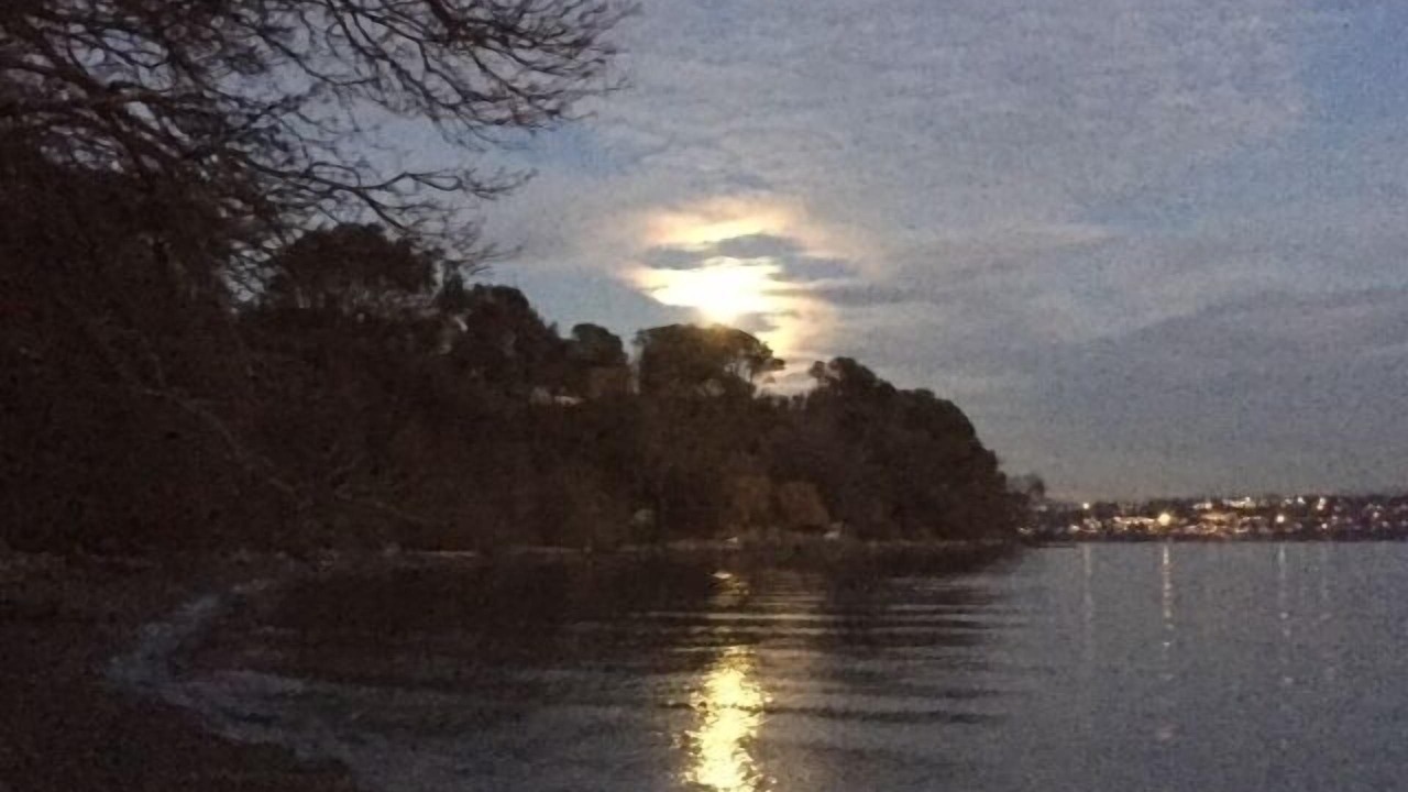 Photo of Others in Vashon Island