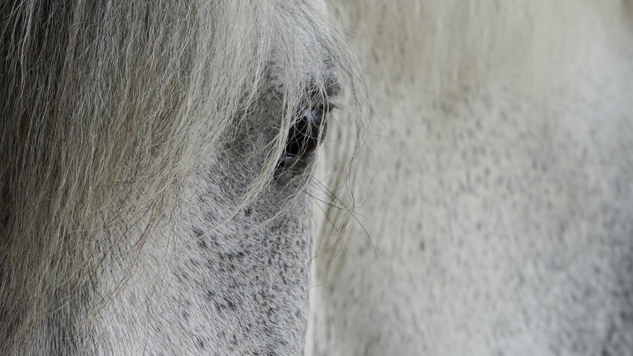 Photo of Others in Vashon Island