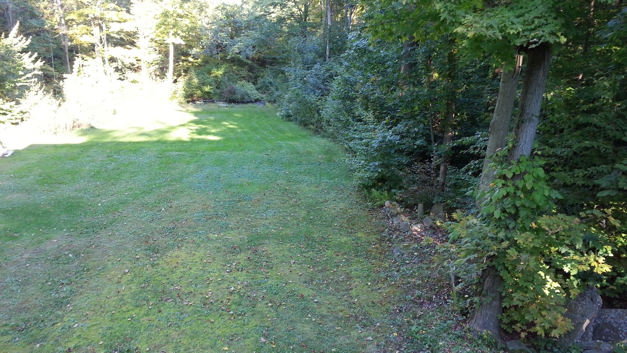 Photo of Others in Maple View