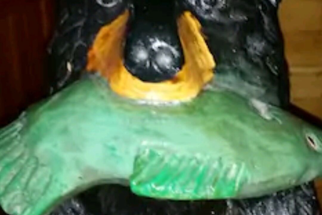 Photo of Others in Yellville