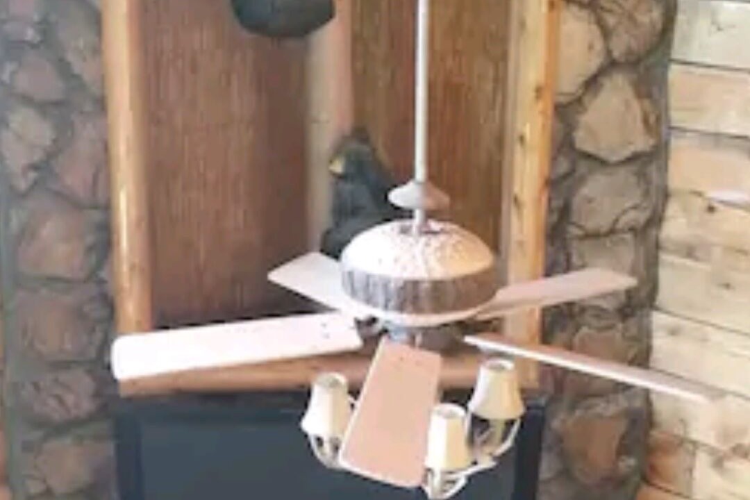 Photo of Others in Yellville