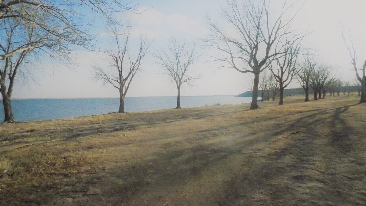 Photo of Outdoor in Ross