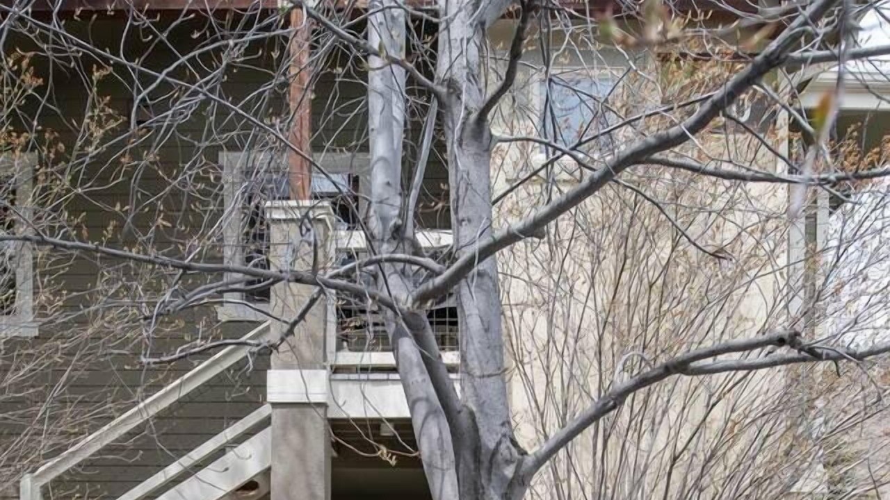 Photo of Outdoor in Warm Springs