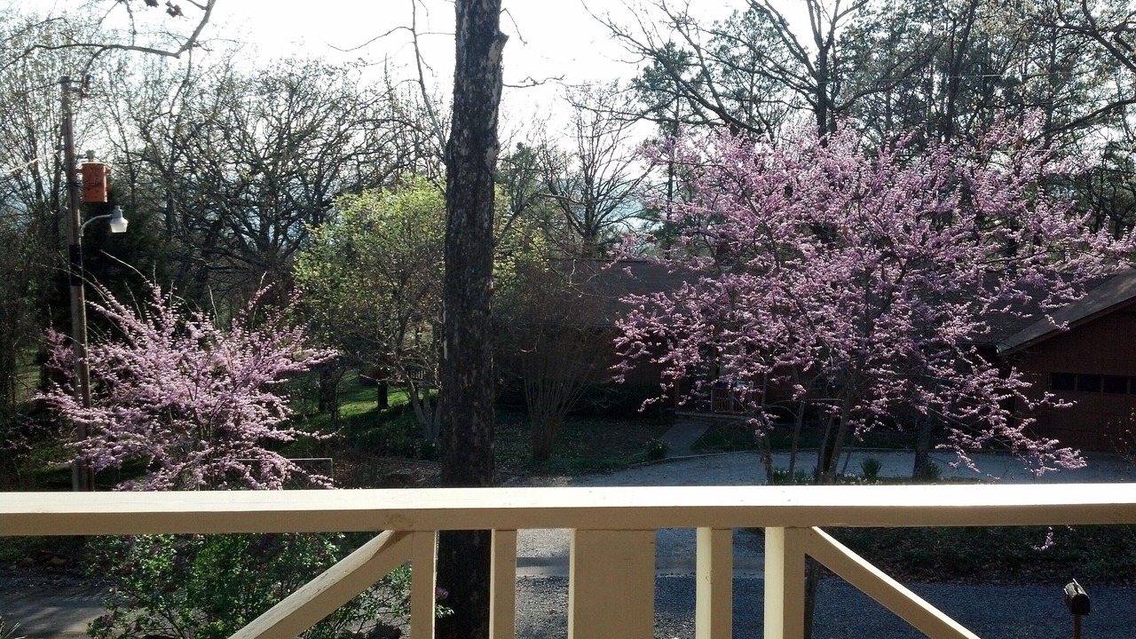 Photo of Outdoor in Cookson