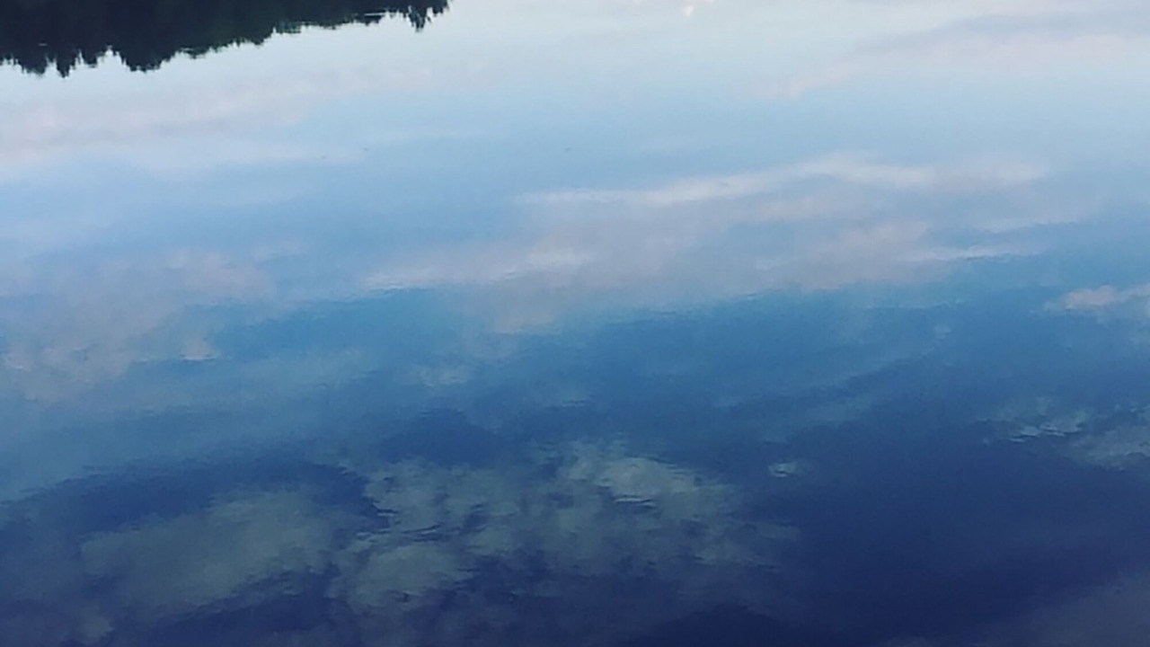 Photo of Others in Muskoka Lakes