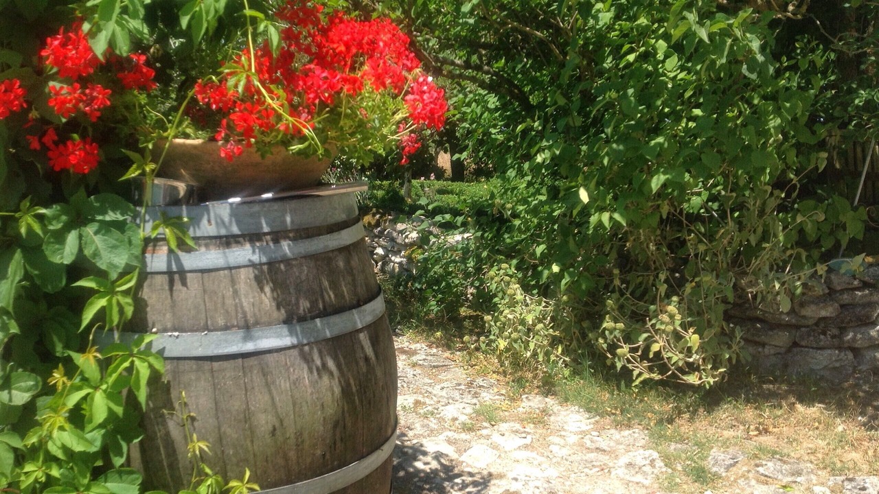 Photo of Outdoor in Lauzerte
