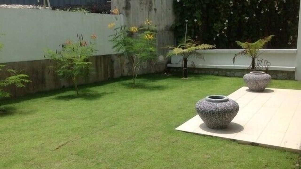 Photo of Outdoor in Batu Ferringhi