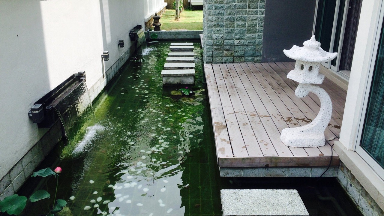 Photo of Others in Batu Ferringhi