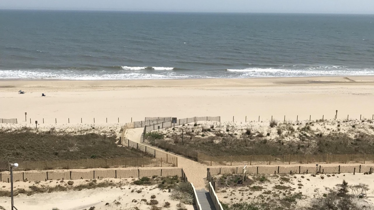 Photo of Others in North Ocean City
