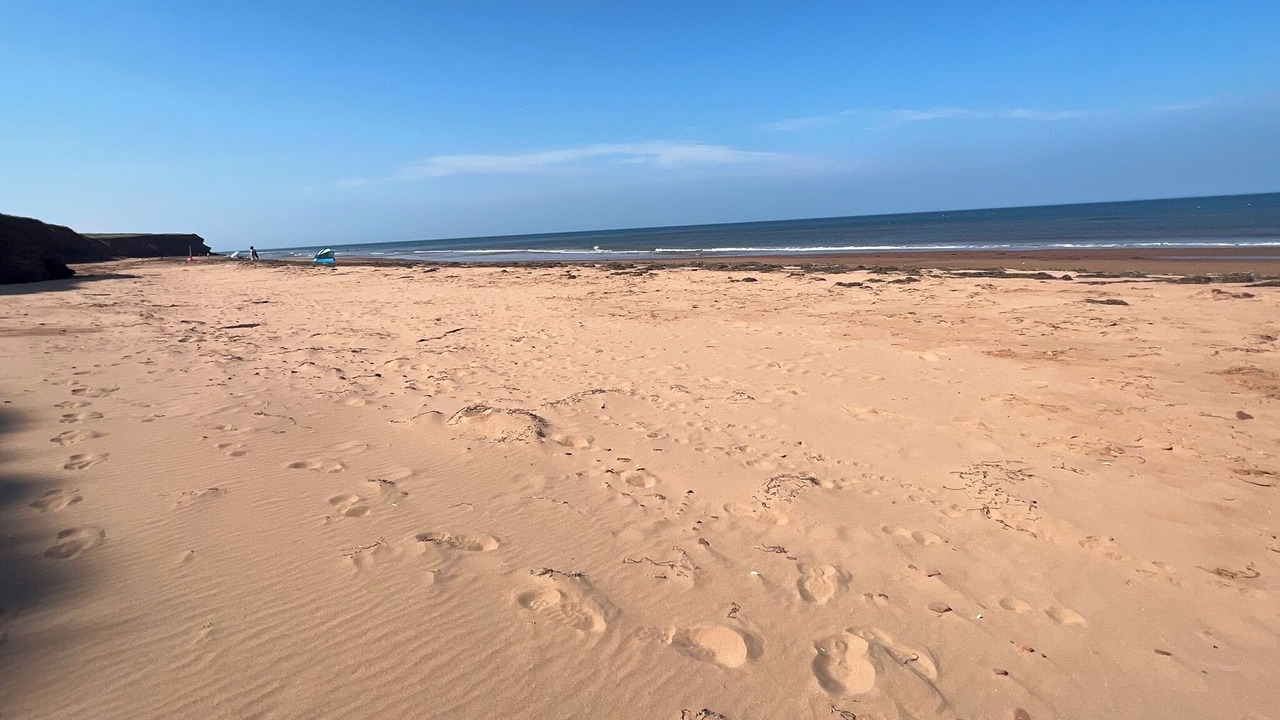Photo of Others in Sea View