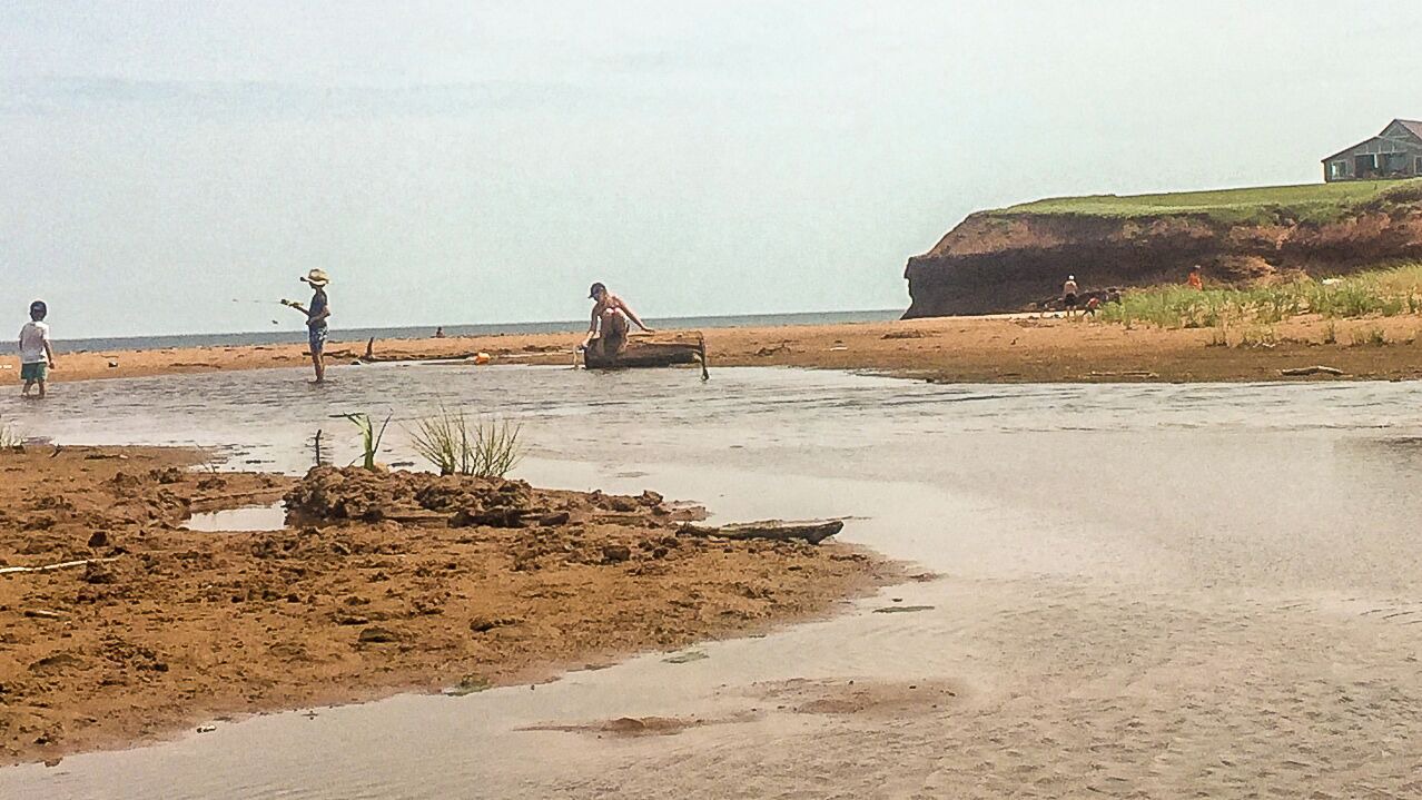 Photo of Others in Sea View