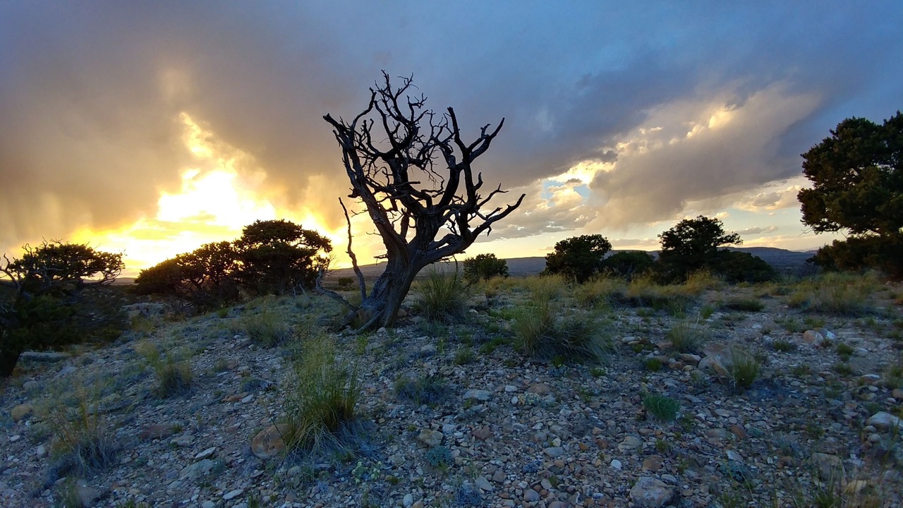 Photo of Outdoor in Duchesne