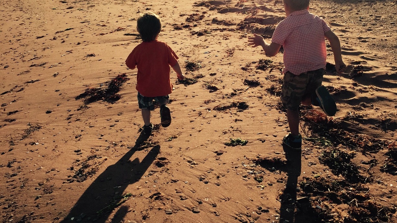 Photo of Others in Borden-Carleton