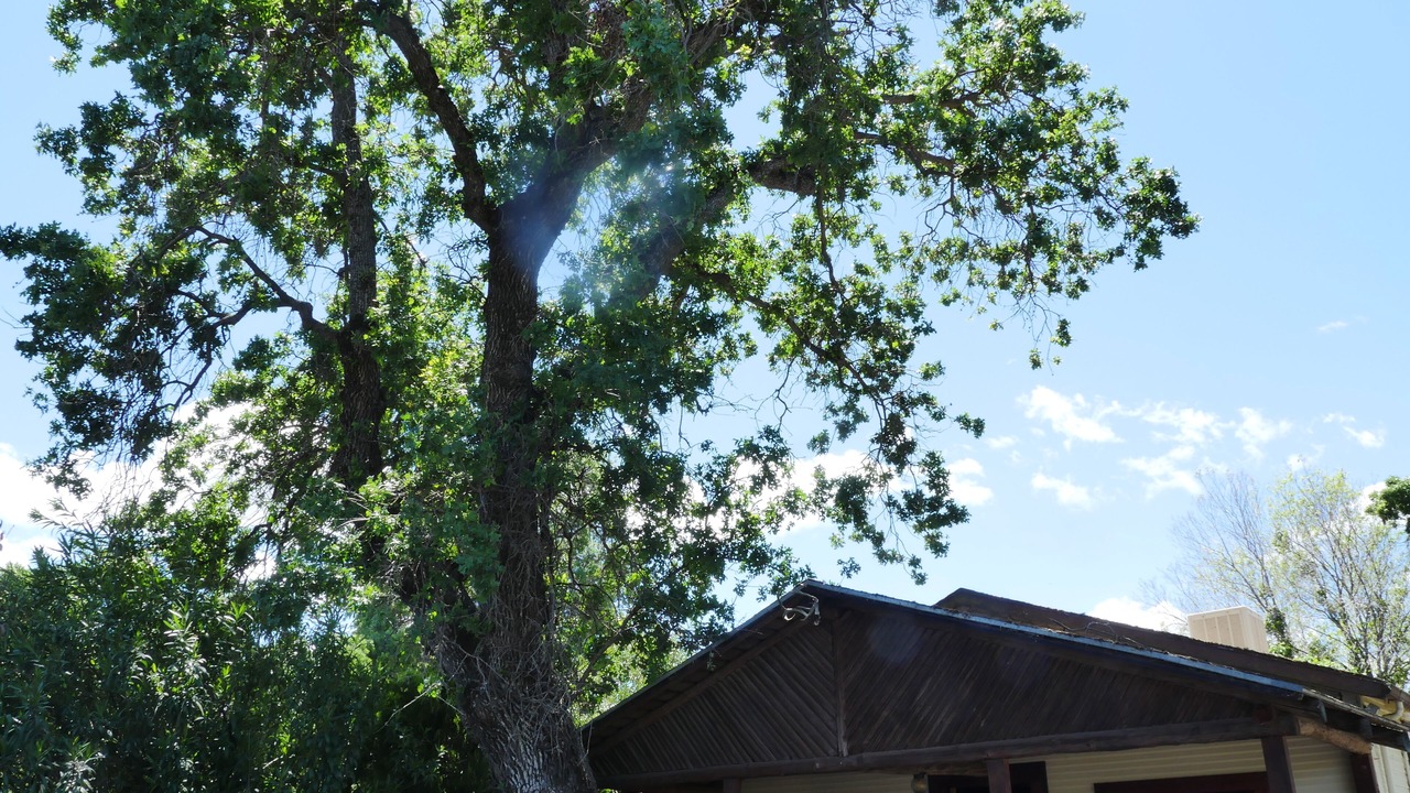 Photo of Others in Clearlake