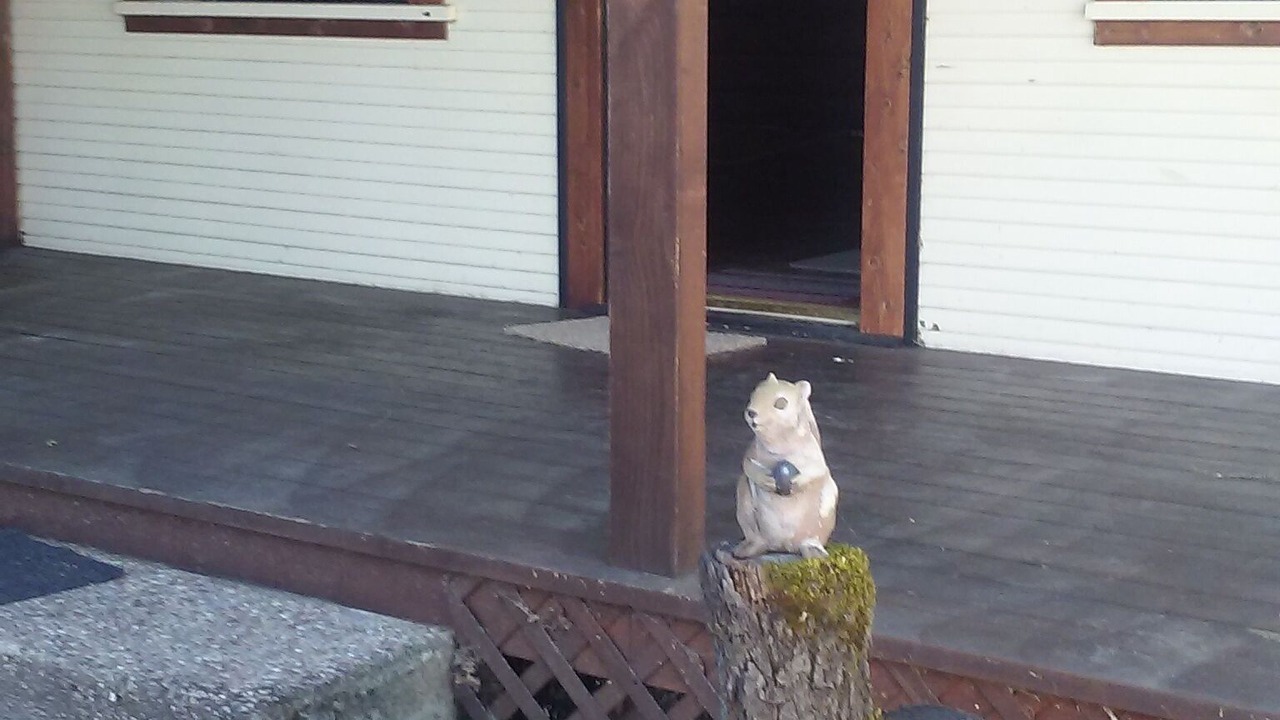 Photo of Others in Clearlake