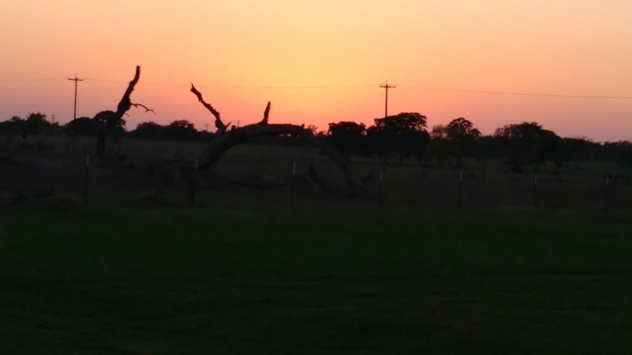 Photo of Outdoor in Bellville