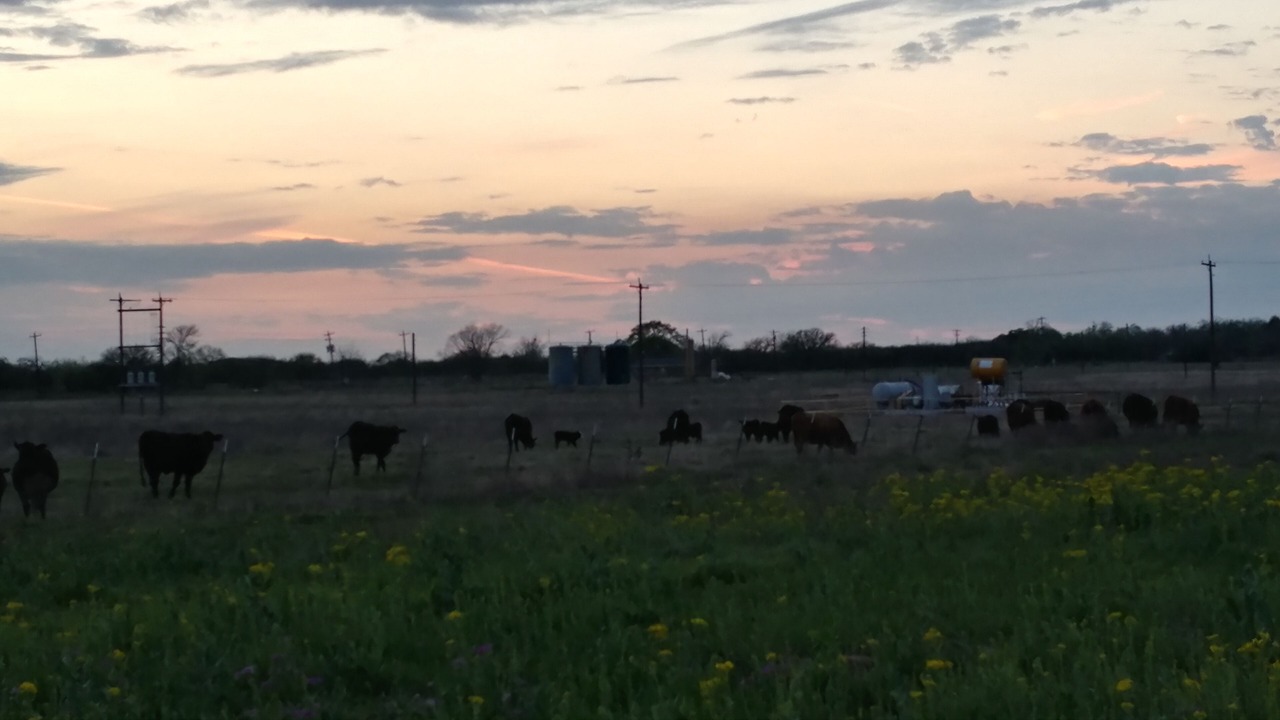 Photo of Others in Bellville