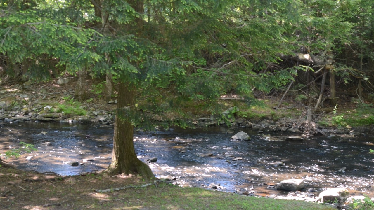 Photo of Others in Saugerties