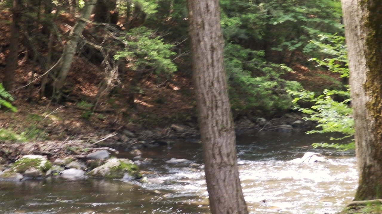 Photo of Others in Saugerties