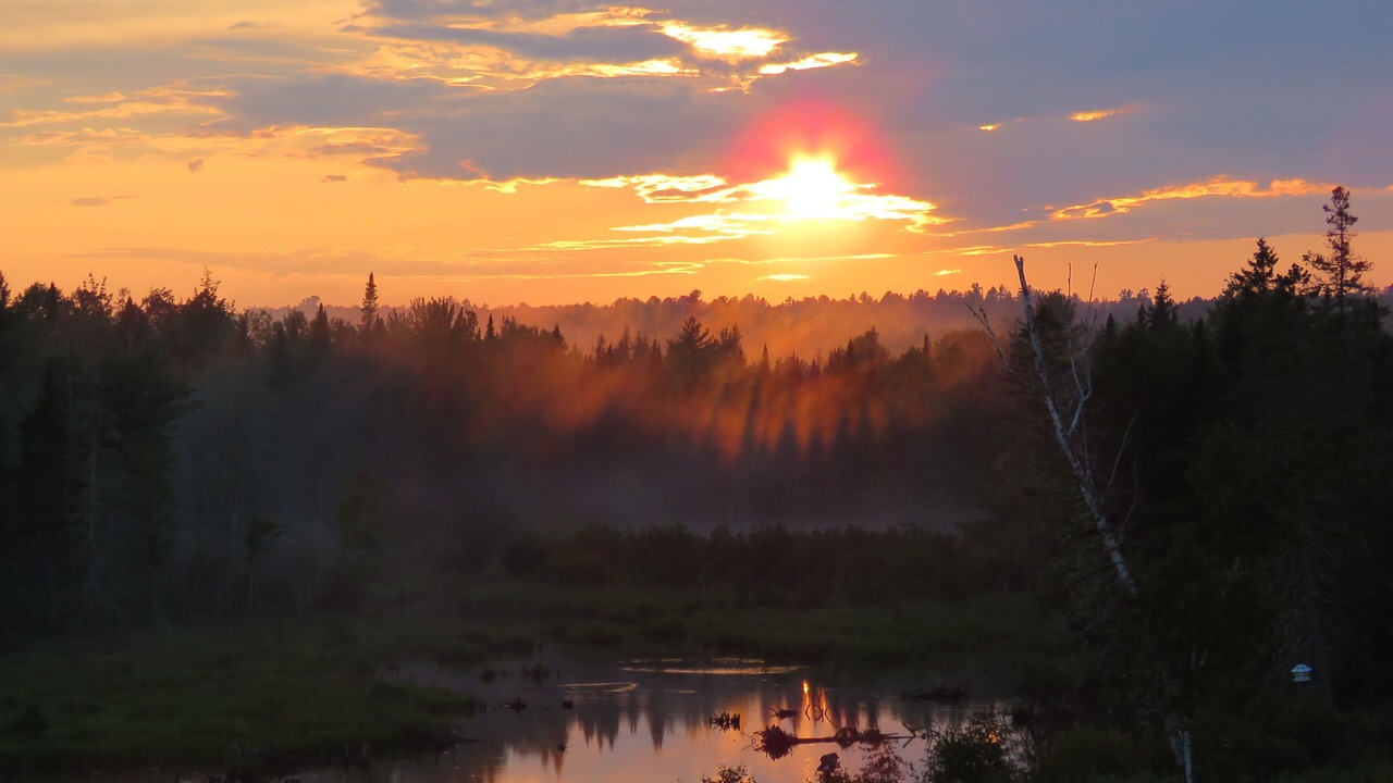 Photo of Others in East Corinth