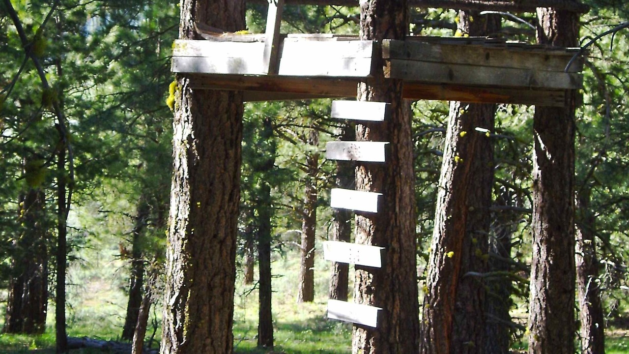 Photo of Others in New Pine Creek